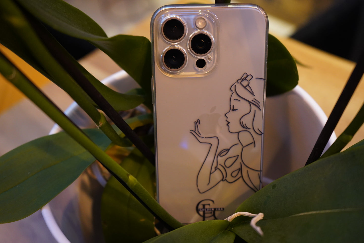 Cinderella iPhone cover